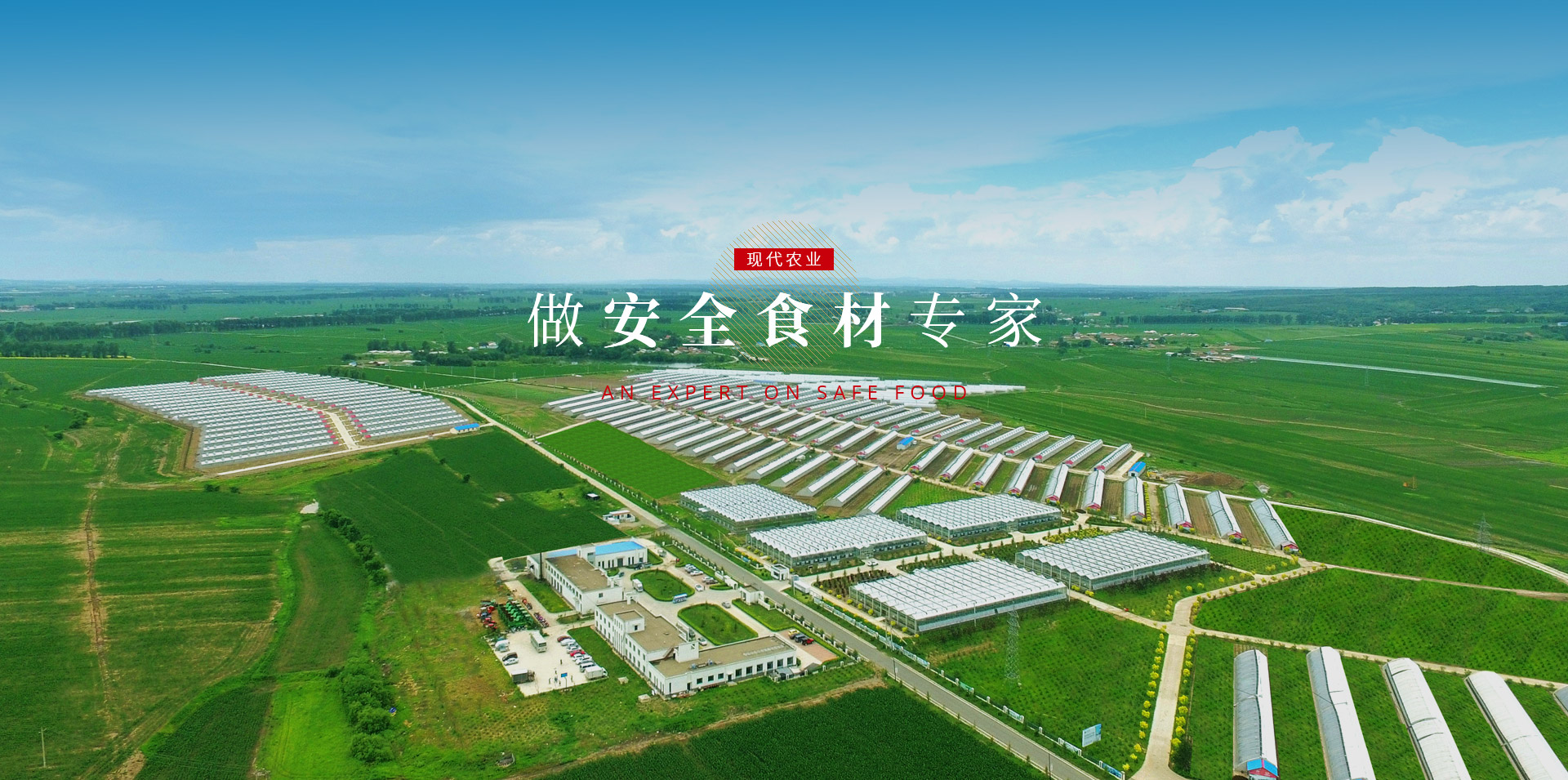 bjl平台·(中国)集团