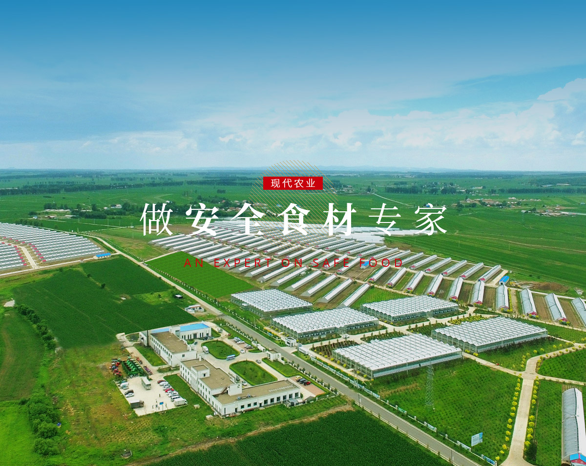 bjl平台·(中国)集团