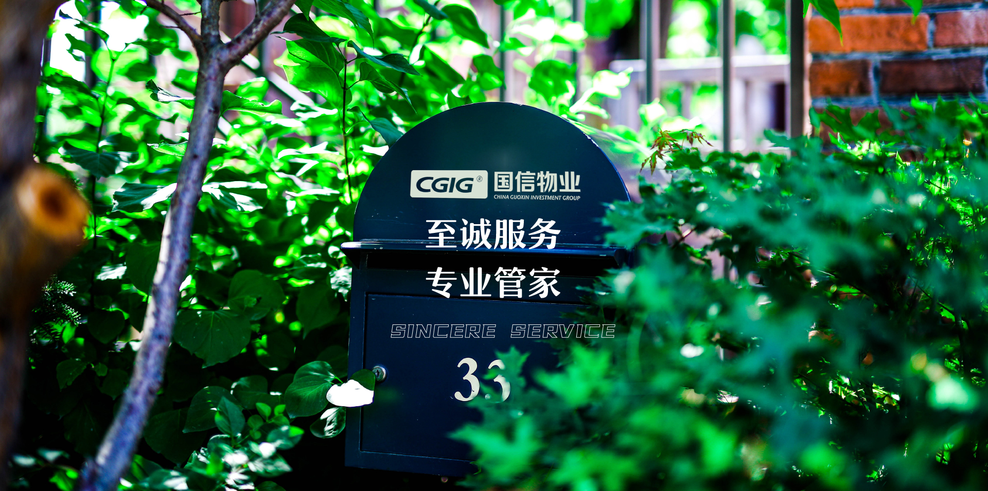 bjl平台·(中国)集团