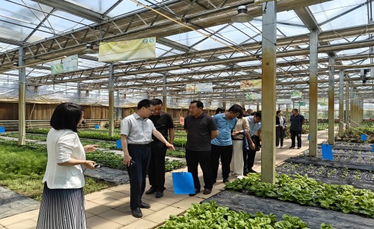 2024年6月27日，中国绿色食品发展中心相关领导莅临农业总公司考察调研_副本.jpg