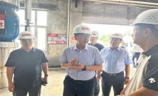 14.伊通满族自治县县委书记孙立阳一行领导莅临BJL平台集团供热总公司伊通供热分公司第二热源厂开展调研（不够清晰，帮忙调整）_副本.jpg